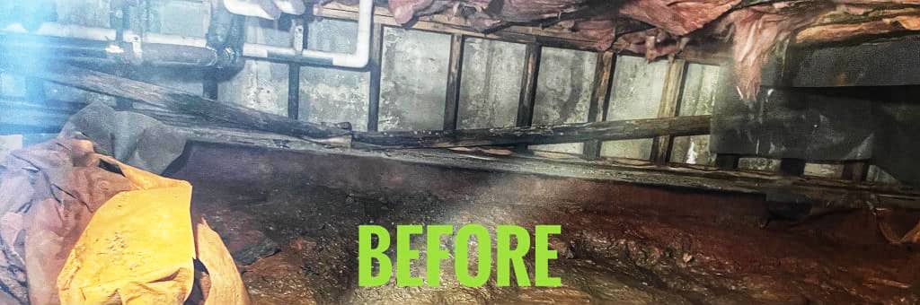 Before mold remediation in a crawlspace in a Vermont hospital 