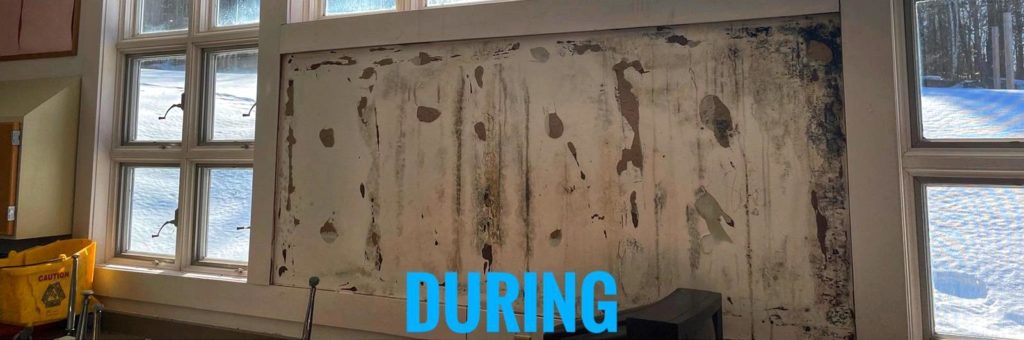 Vermont School Mold Remediation During