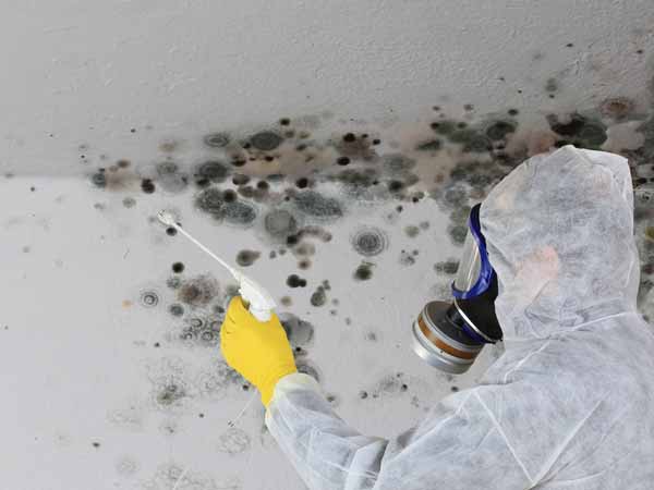 Mold Removal by Clean and Restore Restoration of Vermont Remove Mold Myself